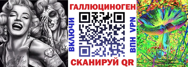 Псилоцибиновые грибы Psilocybe  Знаменск 