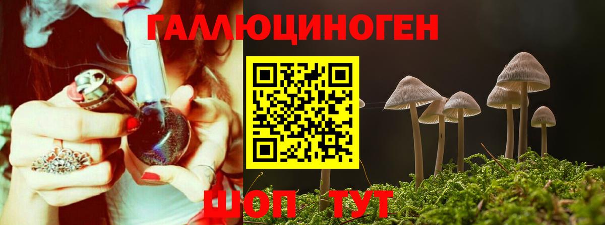 Галлюциногенные грибы мицелий  Галлюциногенные грибы Cubensis  Вход с VPN  Знаменск 