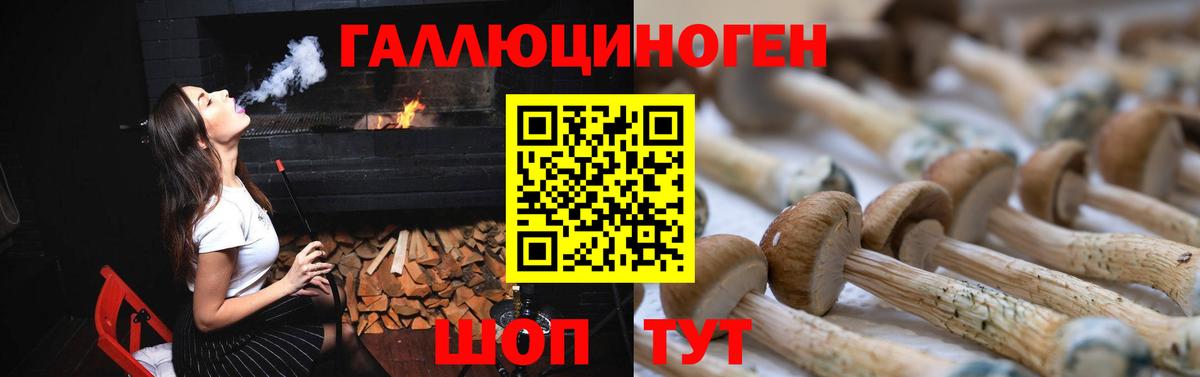 Галлюциногенные грибы Psilocybine cubensis Знаменск