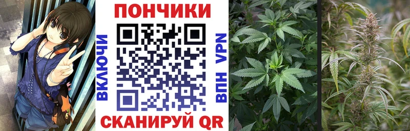 продажа наркотиков  Знаменск  Бошки Шишки марихуана 